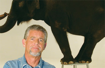 No One Talks About Lighting the Elelphant in the Room. By Craig "Burnie" Burns